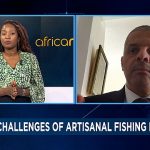 The economic effects of child labor in artisanal fishing (Business Africa)
