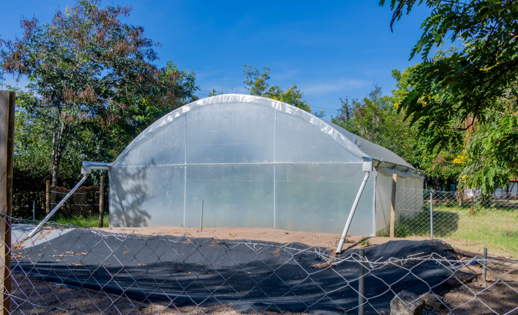 10 Ways Farmers Embrace Organic Farming in Greenhouses