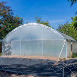 10 Ways Farmers Embrace Organic Farming in Greenhouses