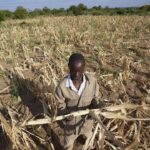 We are working on ways to support drought-hit African countries- IMF