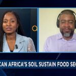 Is Africa’s soil healthy enough for food security? [Business Africa]