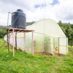 Why Greenhouse Farming is the Best Choice for Rainy Season